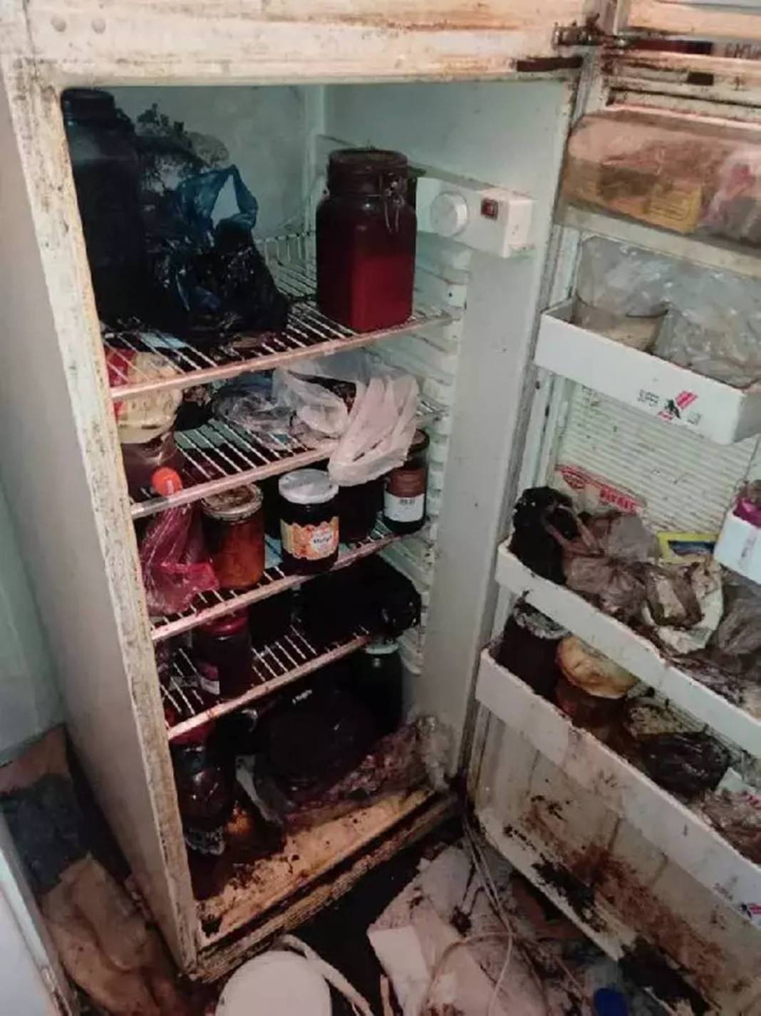 Şikayet üzerine apartman dairesine giden zabıta, şaşkınlıktan dondu kaldı! Ev, ev değil; tarif edecek kelime bulamadılar 13